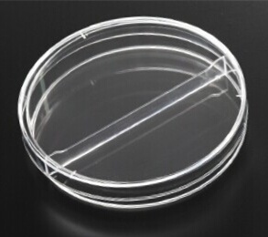 2 sections Petri dish