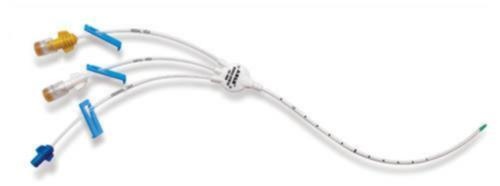 Double lumen central venous catheter