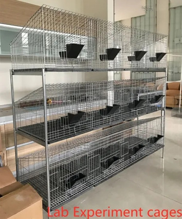 Lab Experiment Stainless Steel Wire Animals Cages