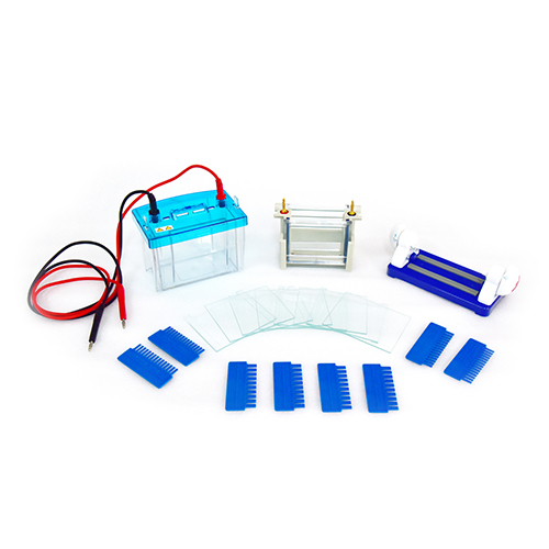 Double plate vertical electrophoresis apparatus