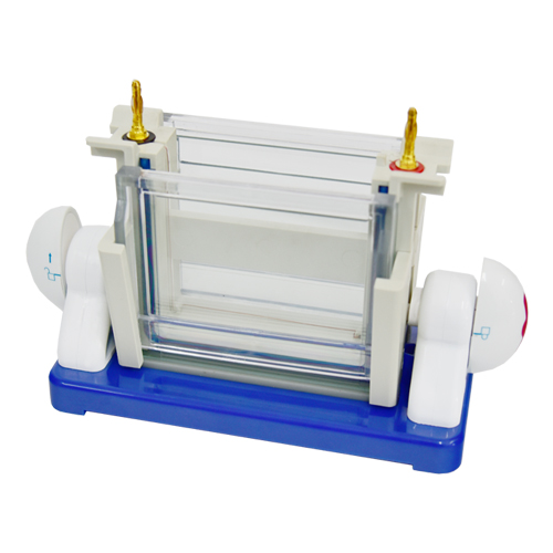 Double plate vertical electrophoresis apparatus