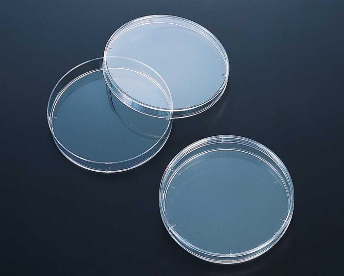 Petri dish plastic PS